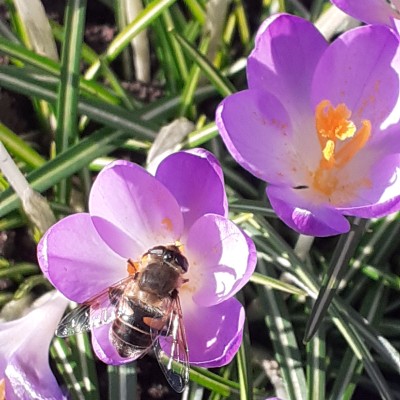 rameshnathwani2 post 1