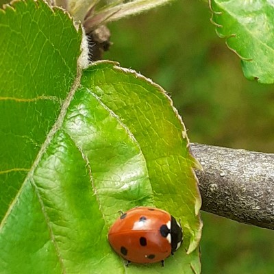 rameshnathwani2 post 1