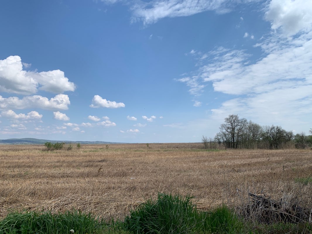 walking near me in Hősök parkja in winter