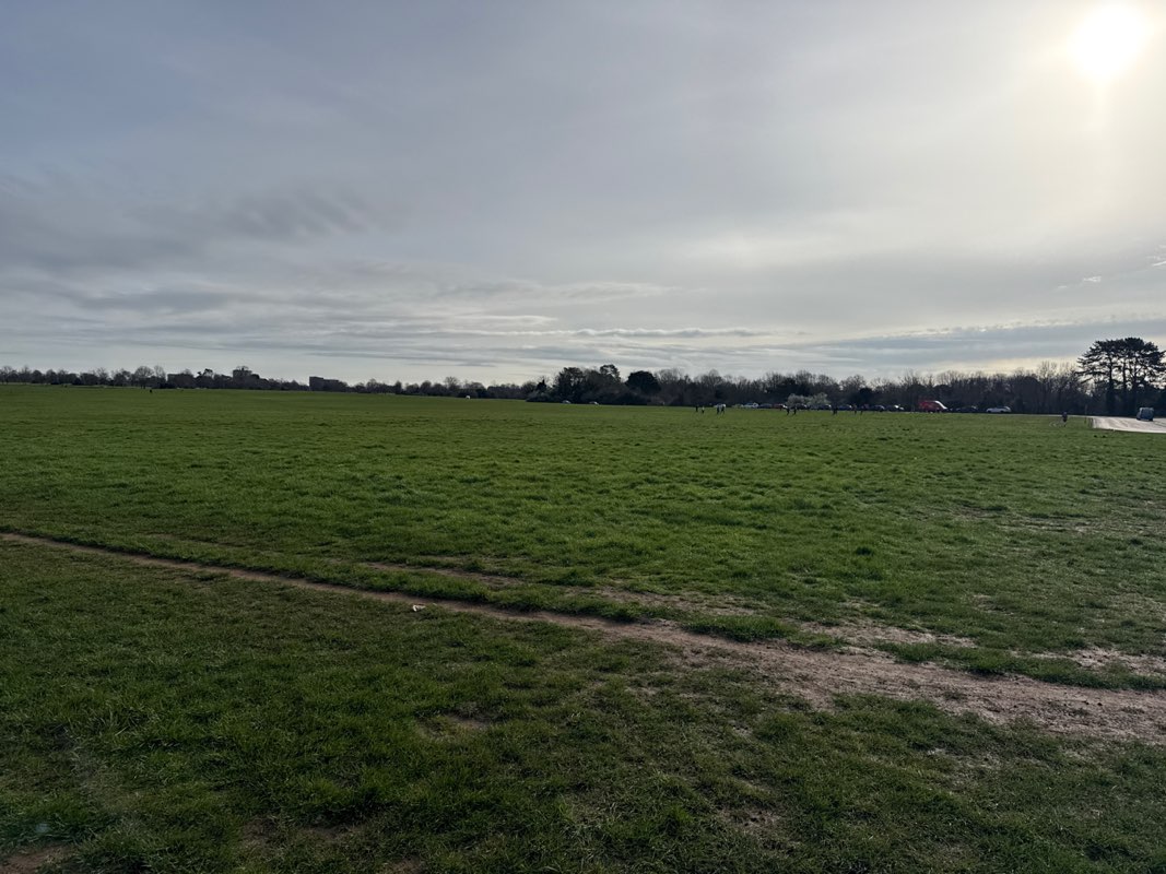 walking near me in Clifton Down in spring