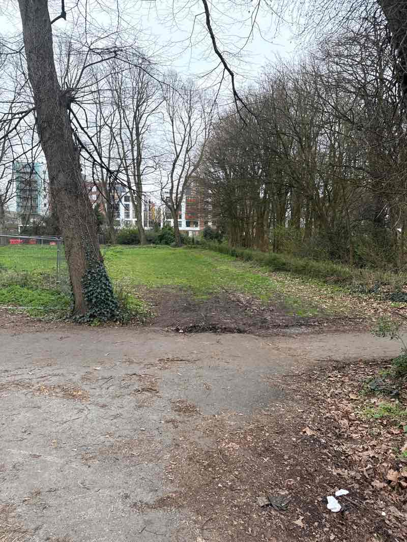 walking near me in Sparke Evans Park in spring