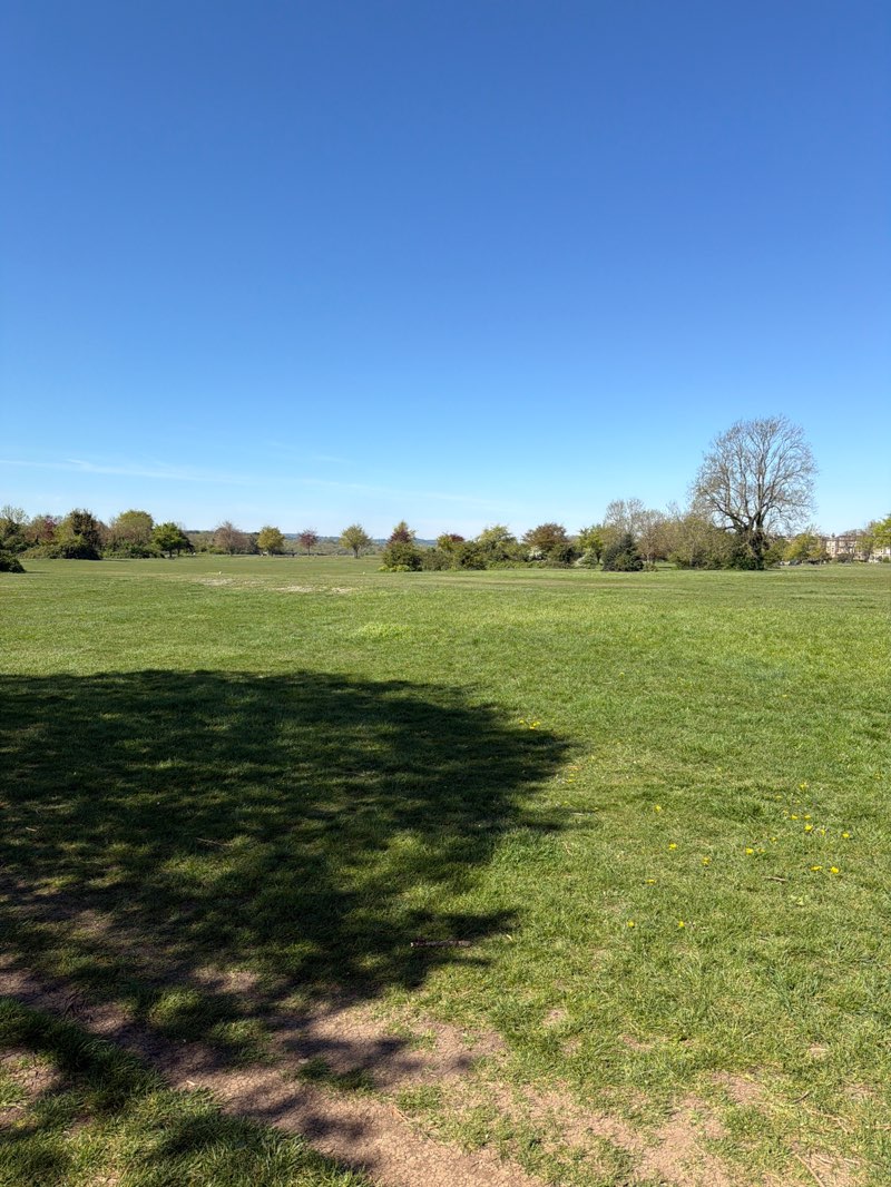 walking near me in Clifton Down in spring