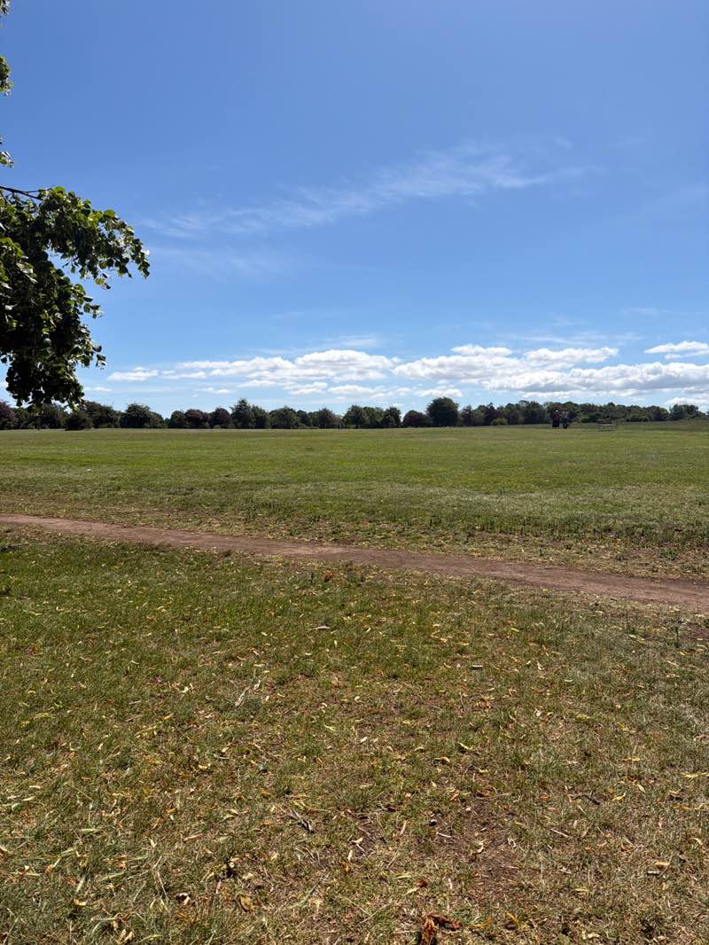 walking near me in Durdham Down in summer