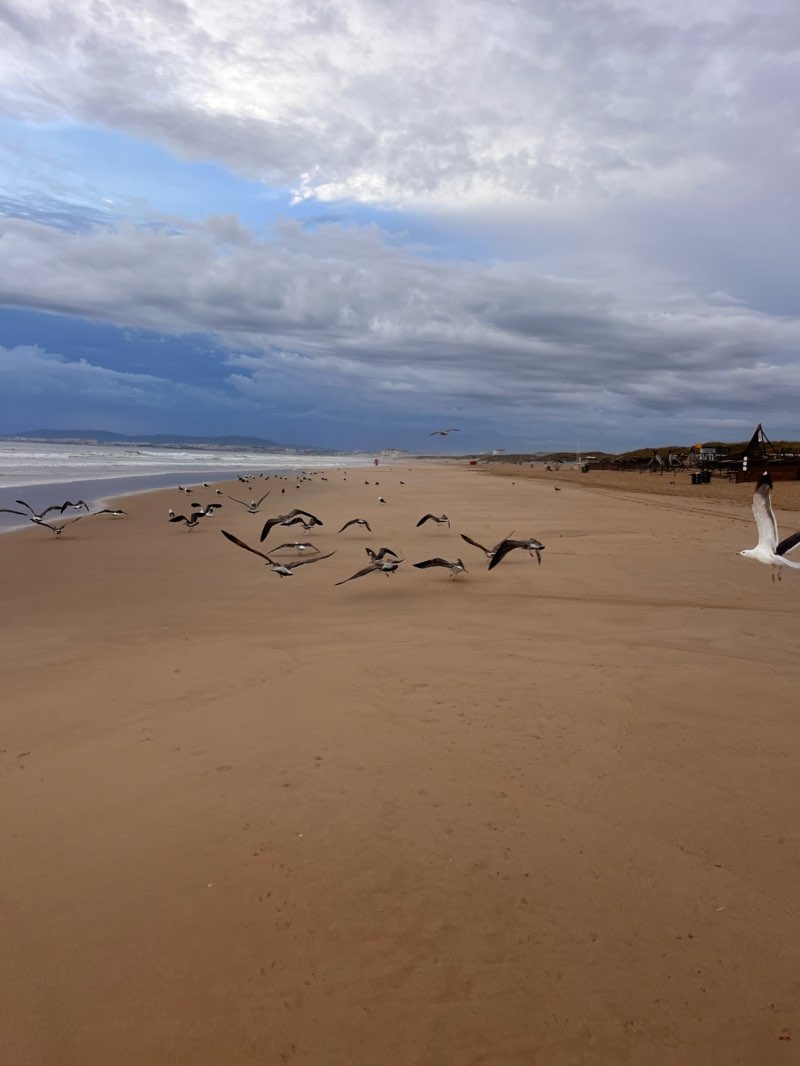 walking near me in Parque Urbano da Costa de Caparica in winter