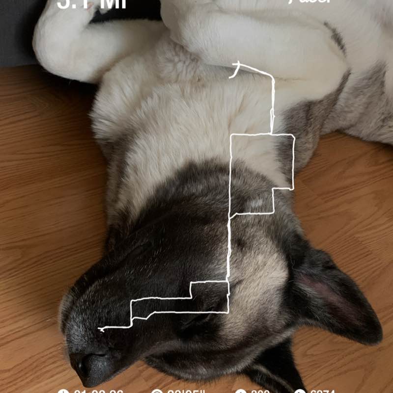 Jorge Mendieta post 1