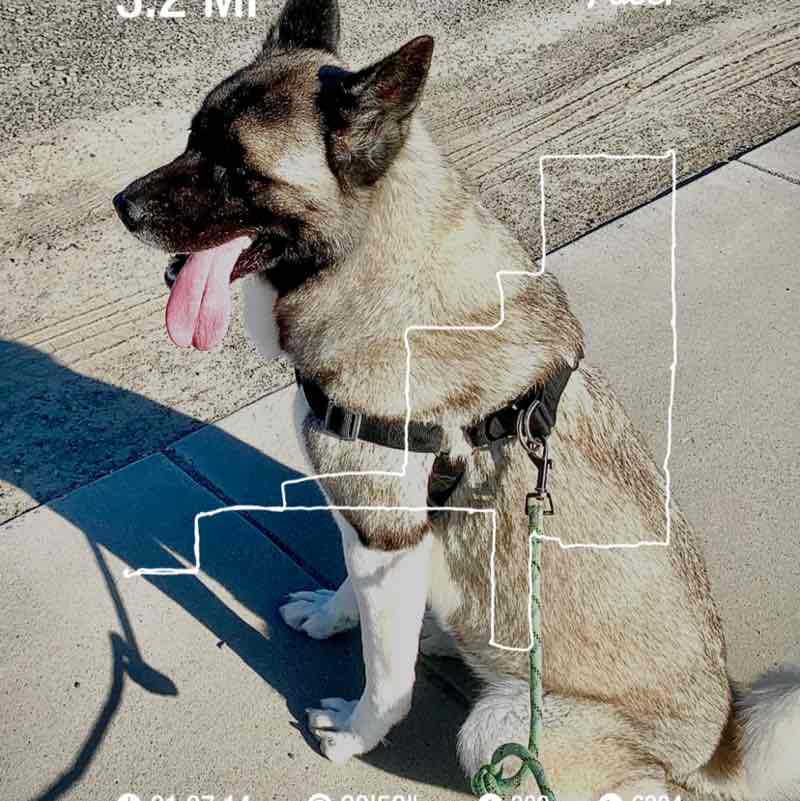 Jorge Mendieta post 1