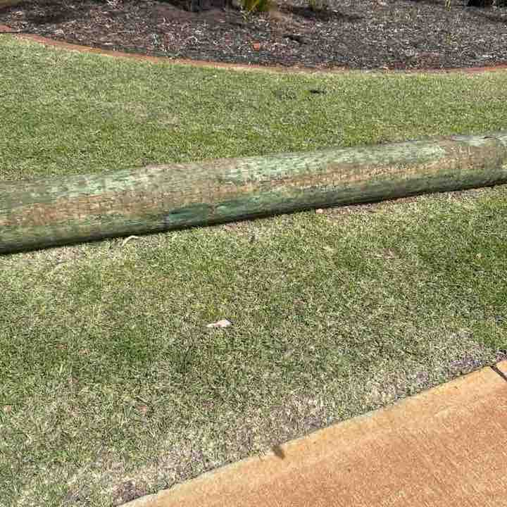 mitchwheeler96 post 1