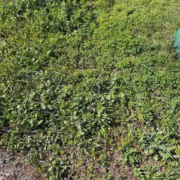 mitchwheeler96 post 1