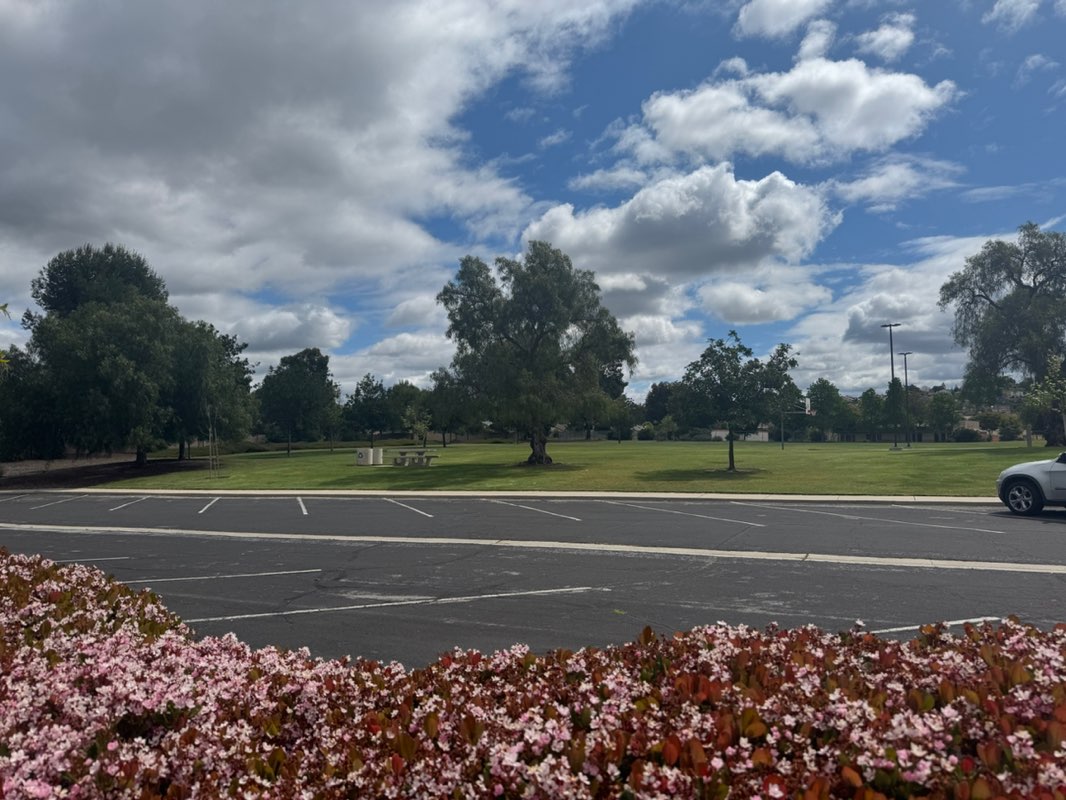 walking near me in Peach Hill Park in spring