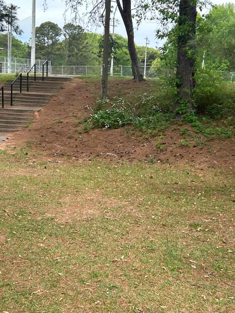 walking near me in Redan Park in spring