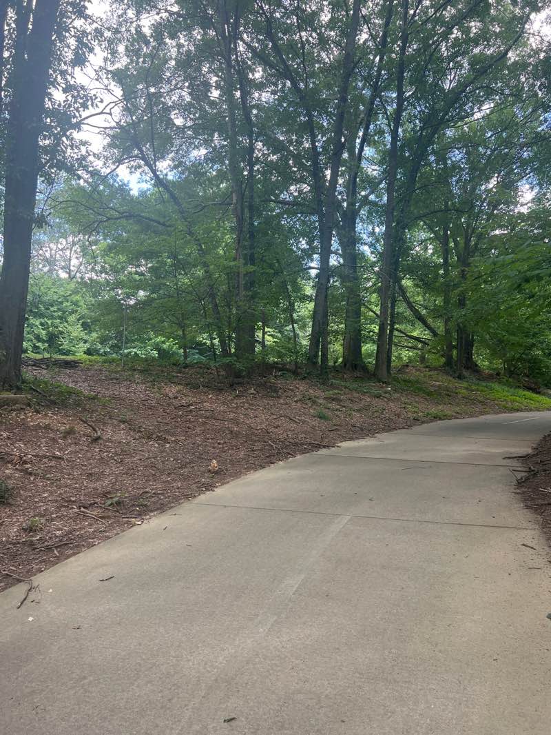 walking near me in Freedom Park in summer