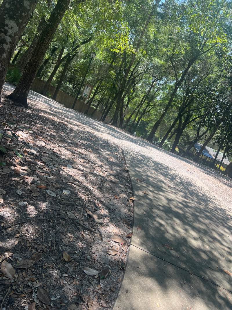 walking near me in Turkey Creek Park - North in autumn