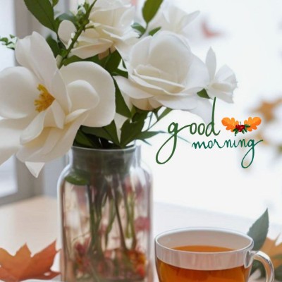 💙 Fearless & Flawless 🩵 Prabhu post image