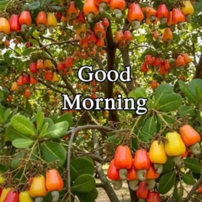 💙 Fearless & Flawless 🩵 Prabhu post image