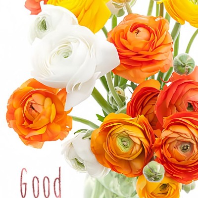 Fearless & Flawless ๐๐ฉต Prabhu post image