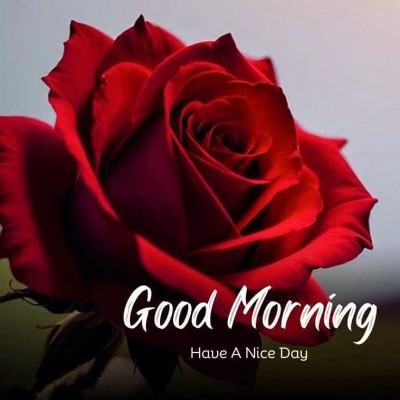 Fearless & Flawless 💙🩵 Prabhu post image