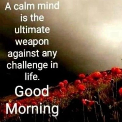 Fearless & Flawless 💙🩵 Prabhu post image