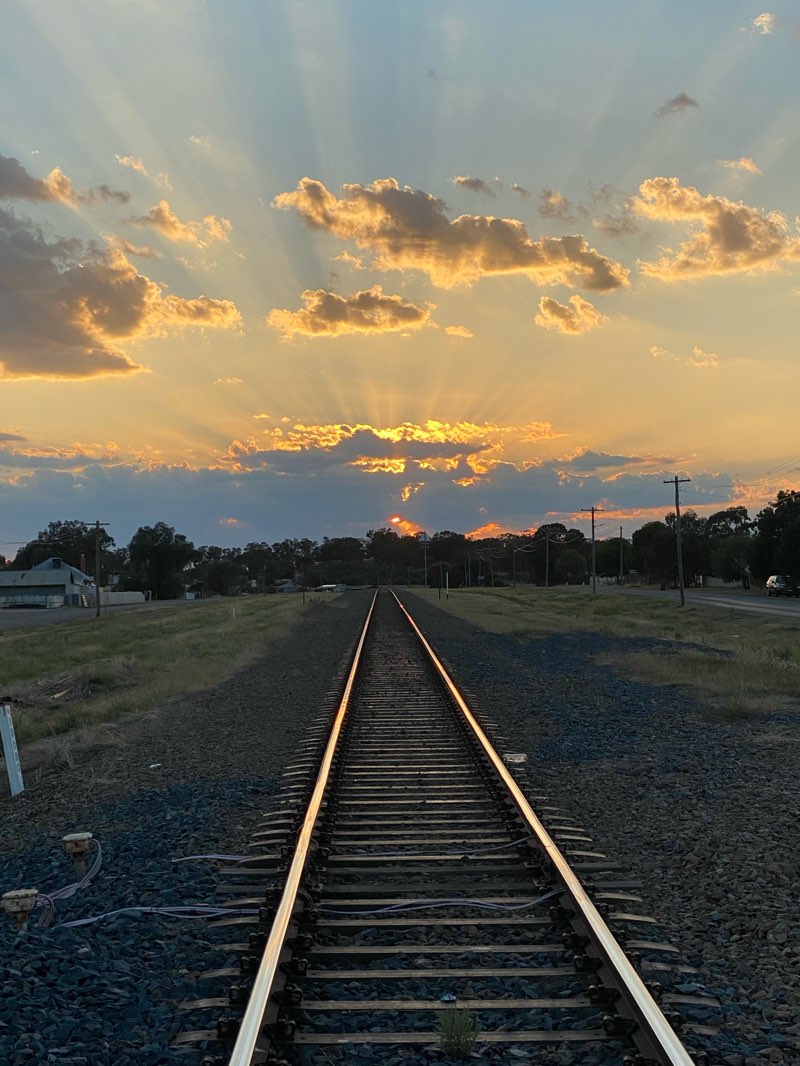 walking near me in Father Hannan Oval in summer