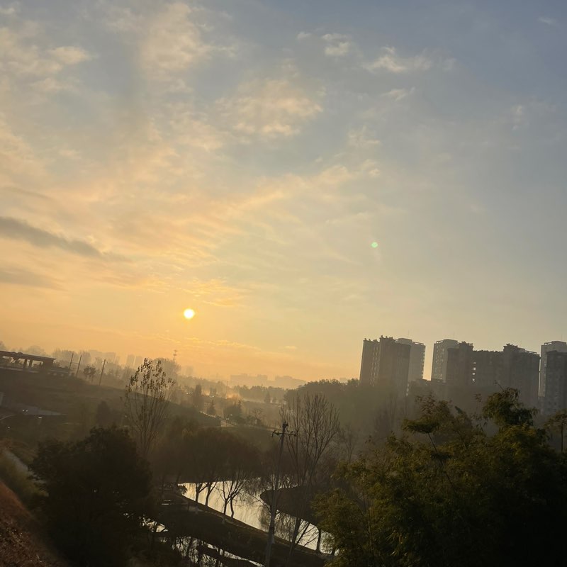 Mr.老油条 post 2
