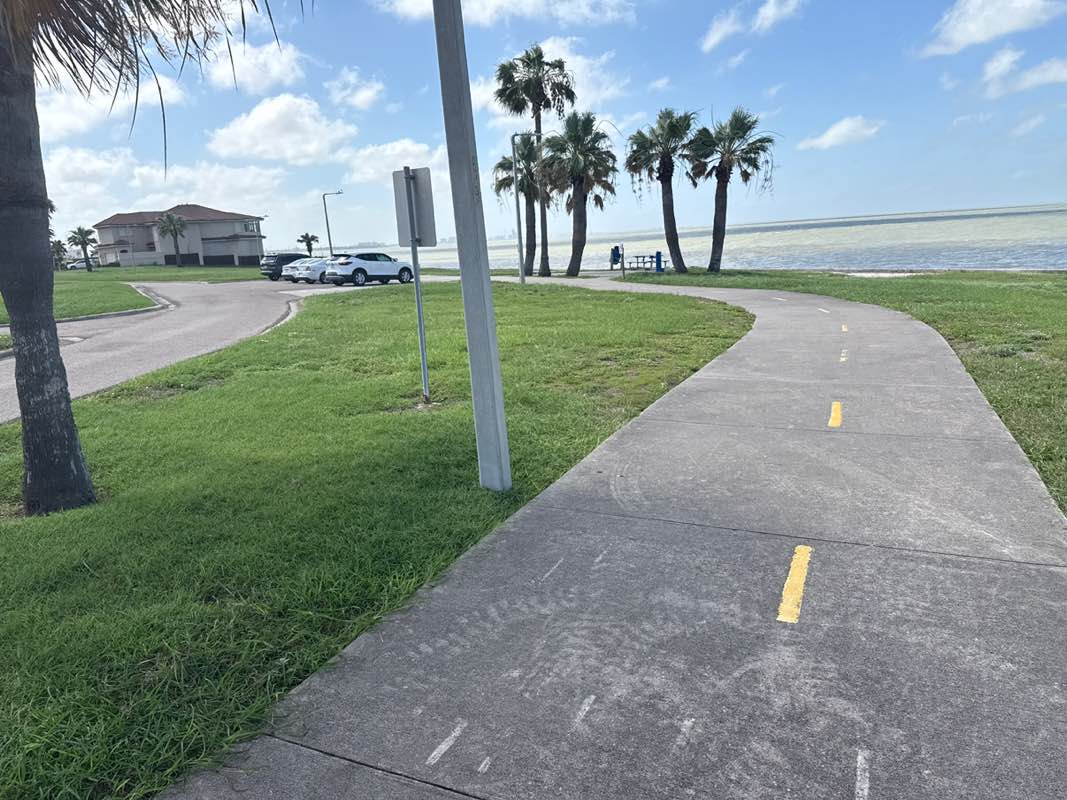 walking near me in Palmetto Park in summer