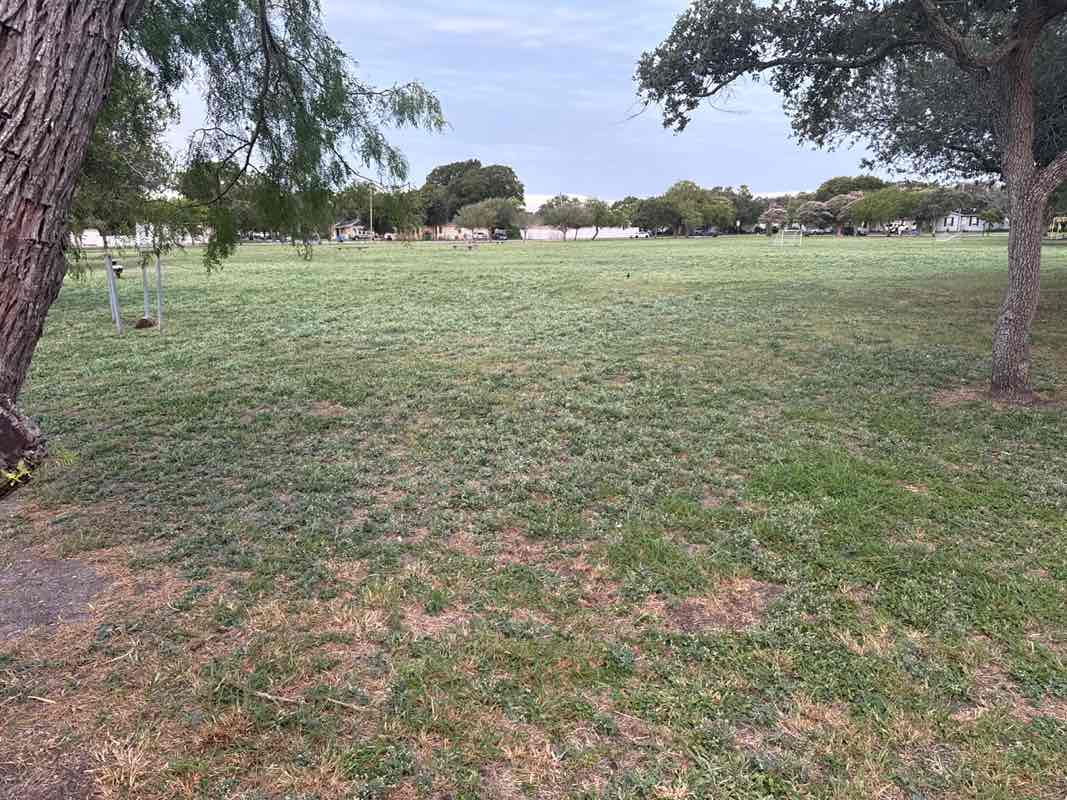 walking near me in Pope Park in summer