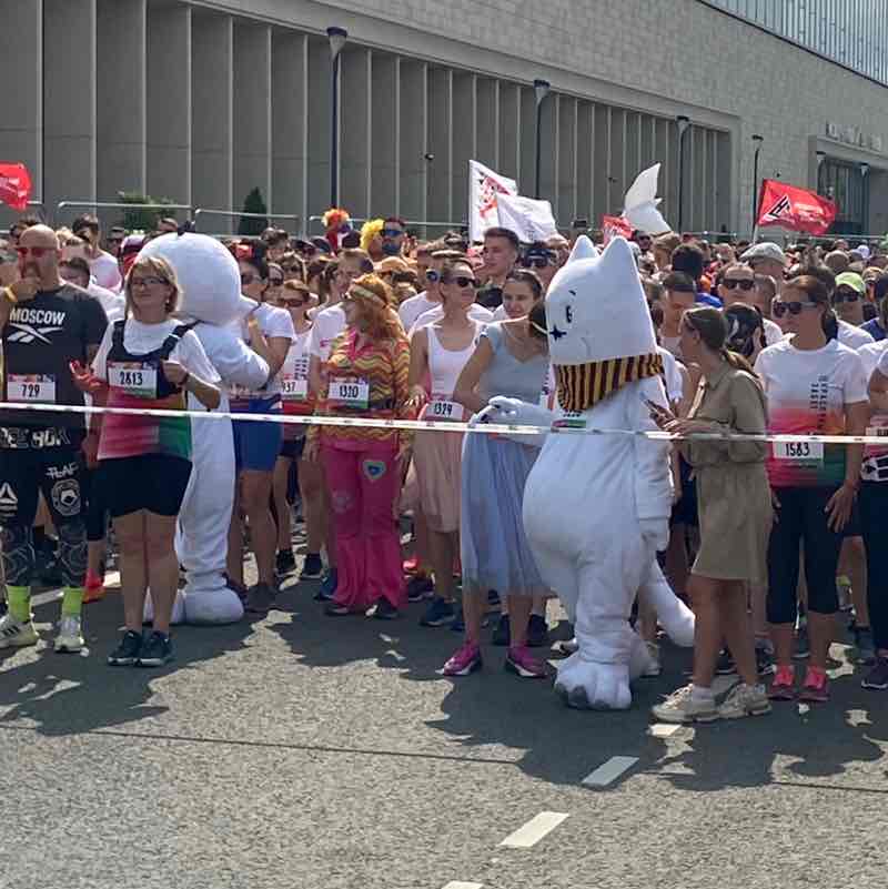 Alexandr 🔥🇪🇸 post 1