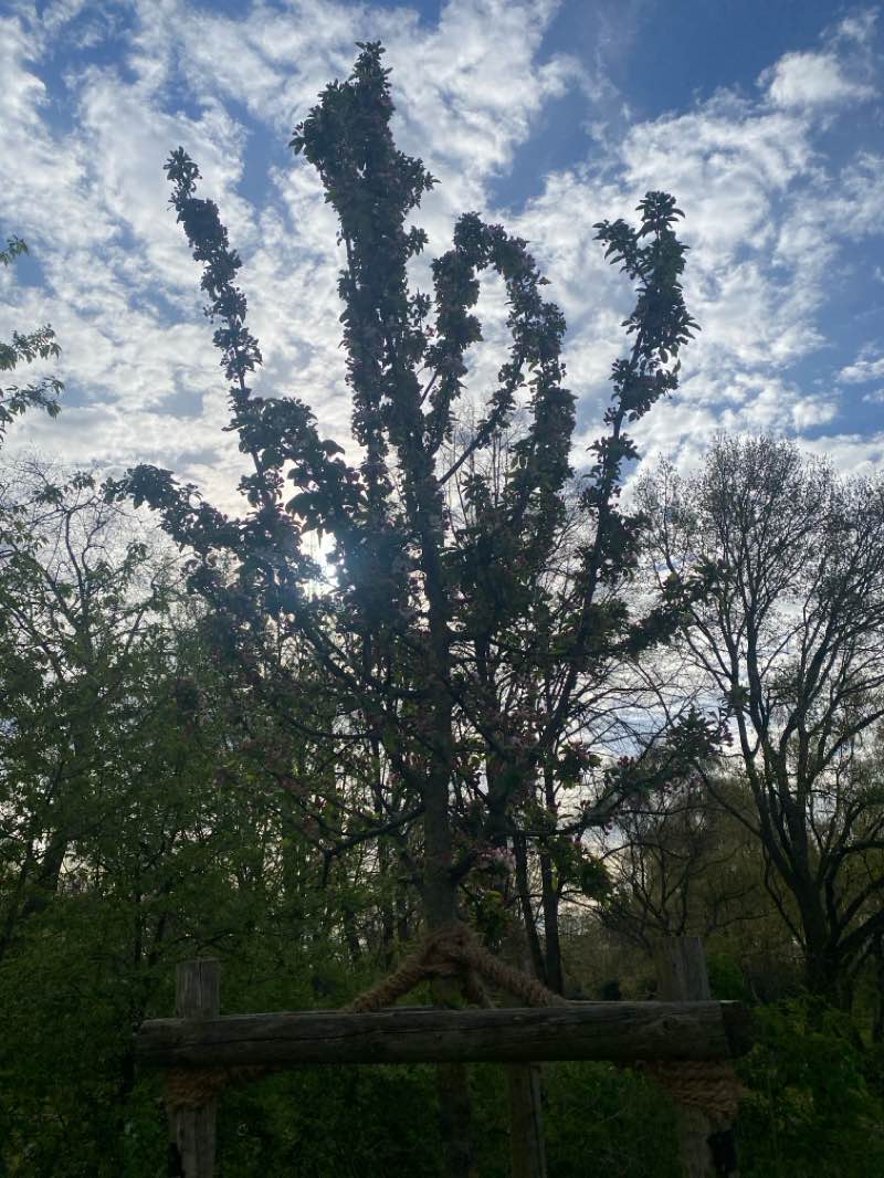 walking near me in OLGA Park in spring