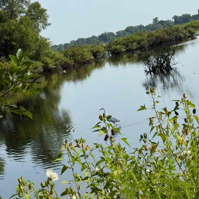 ssallhandsondeck post 1