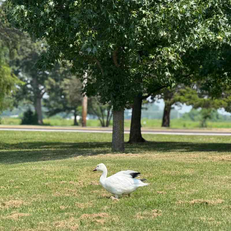 ssallhandsondeck post 2