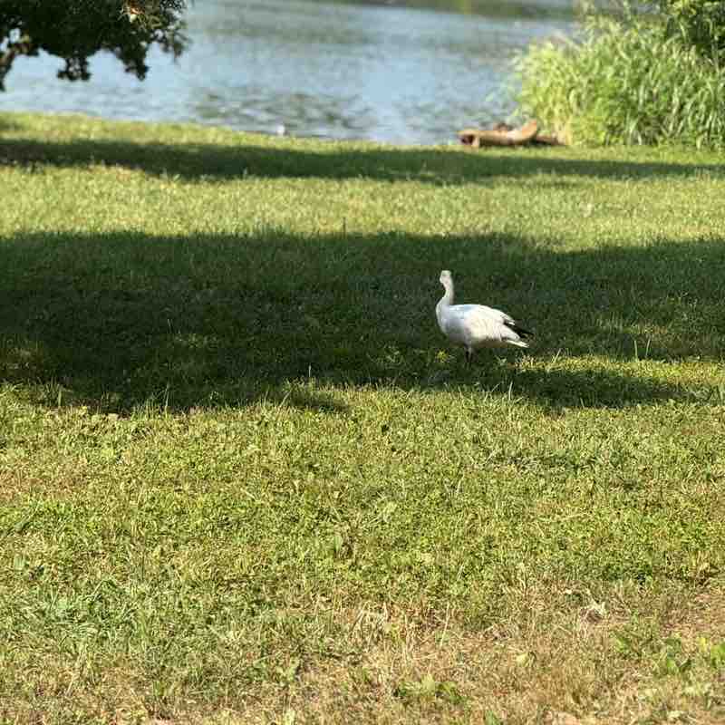 ssallhandsondeck post 2