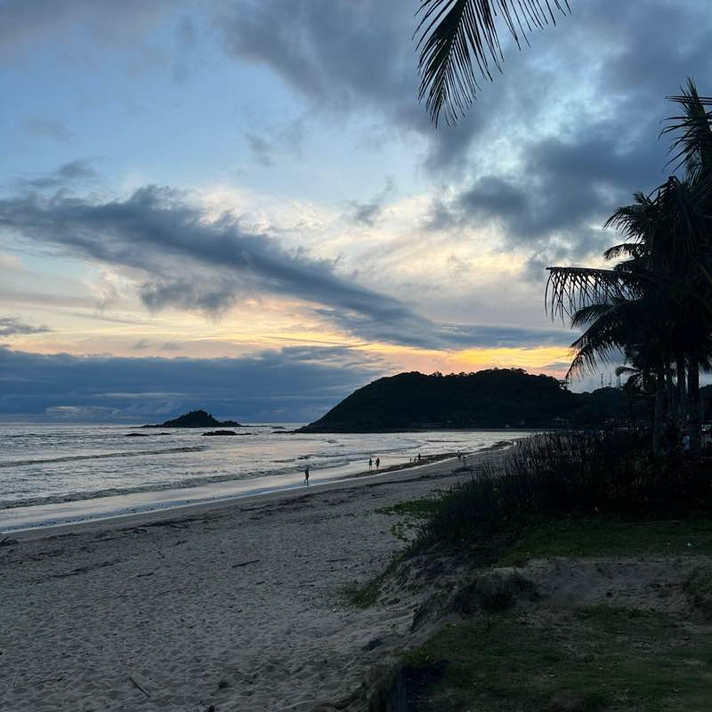 Gato Mia, Dog Latte Marleide post image