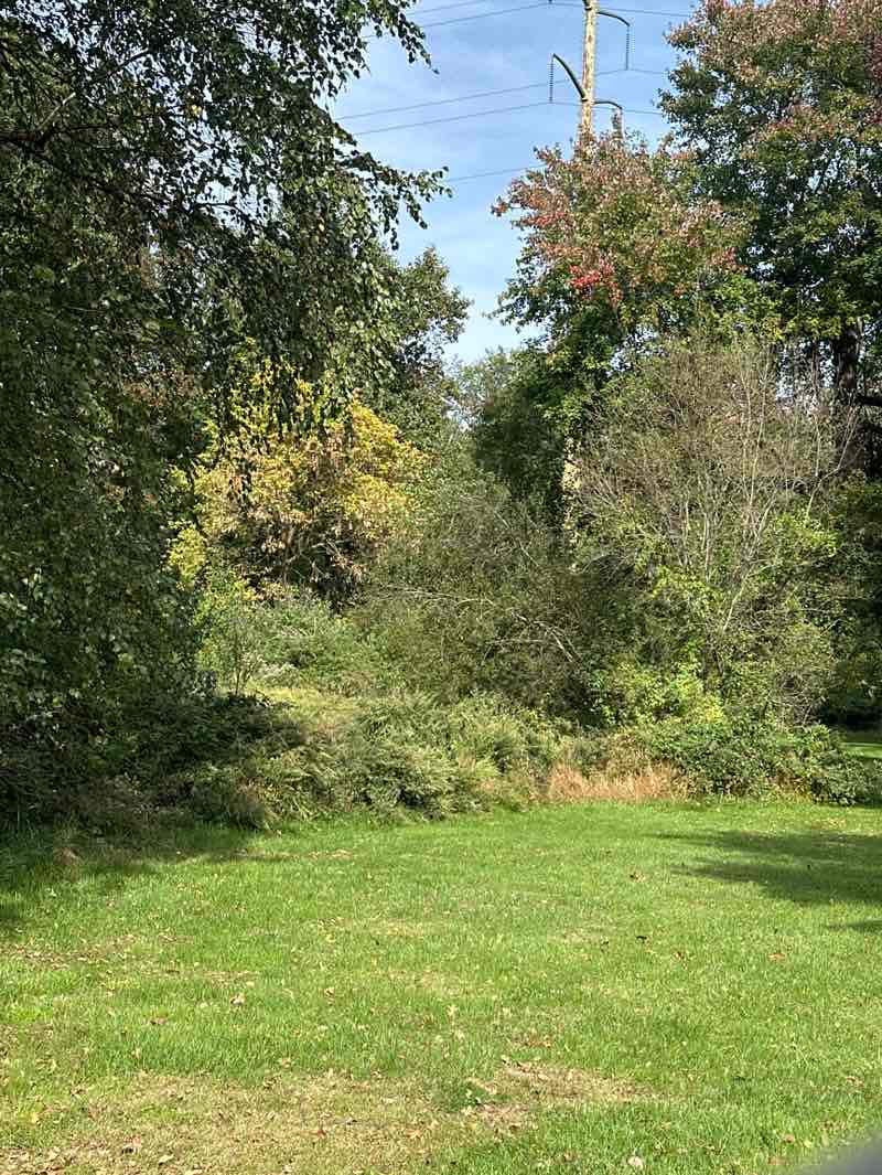 walking near me in Davidson Mill Pond County Park in autumn