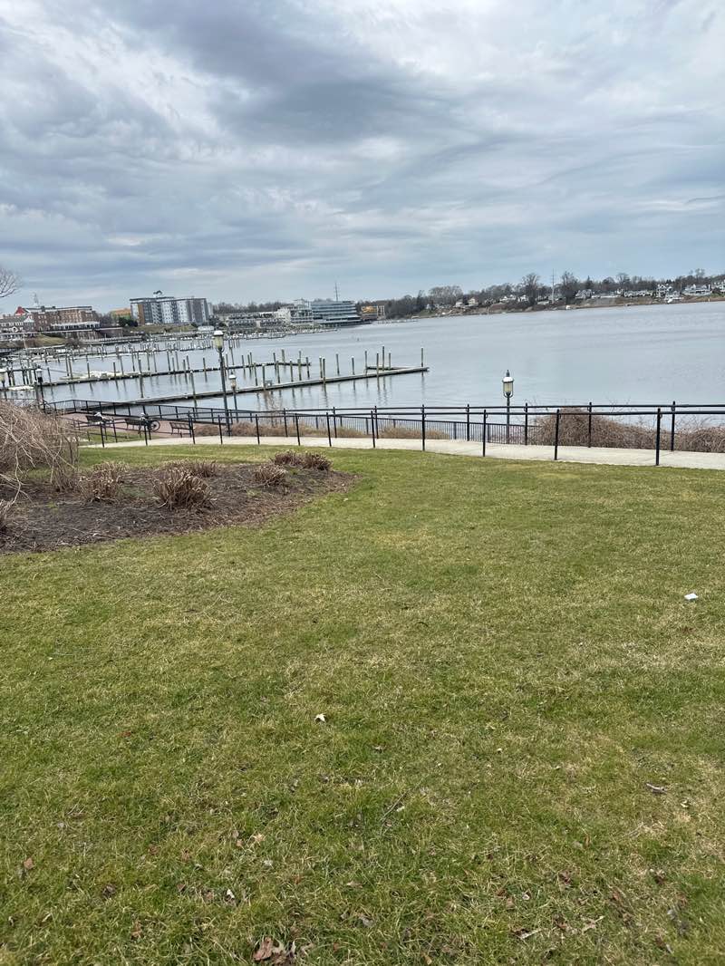 walking near me in Riverside Gardens Park in spring