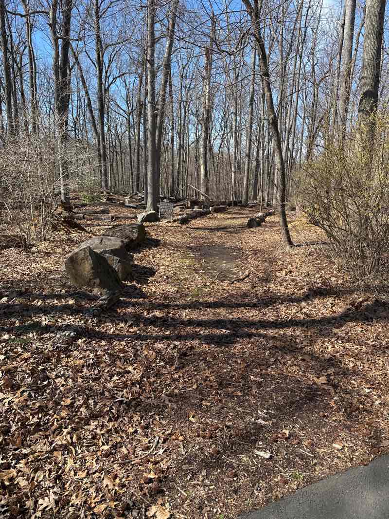 walking near me in Davidson Mill Pond County Park in spring