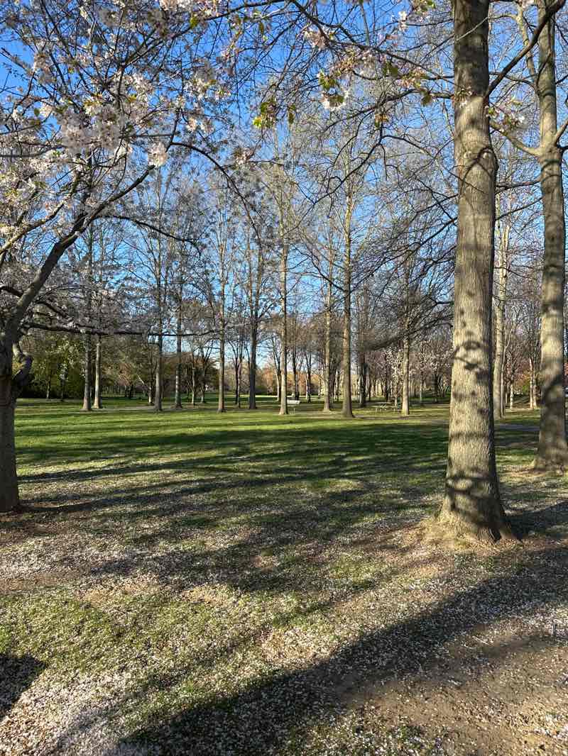 walking near me in Heritage Park in spring