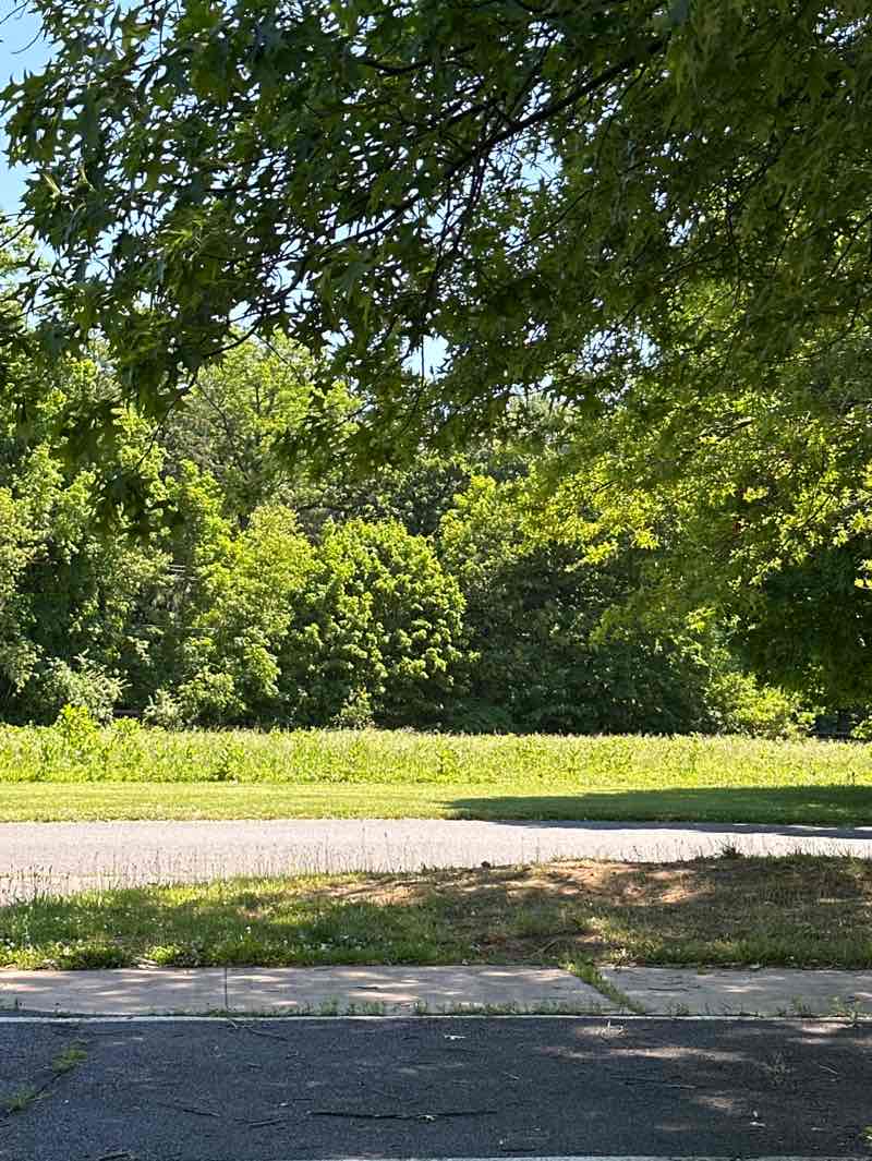 walking near me in Dorbrook Park in summer
