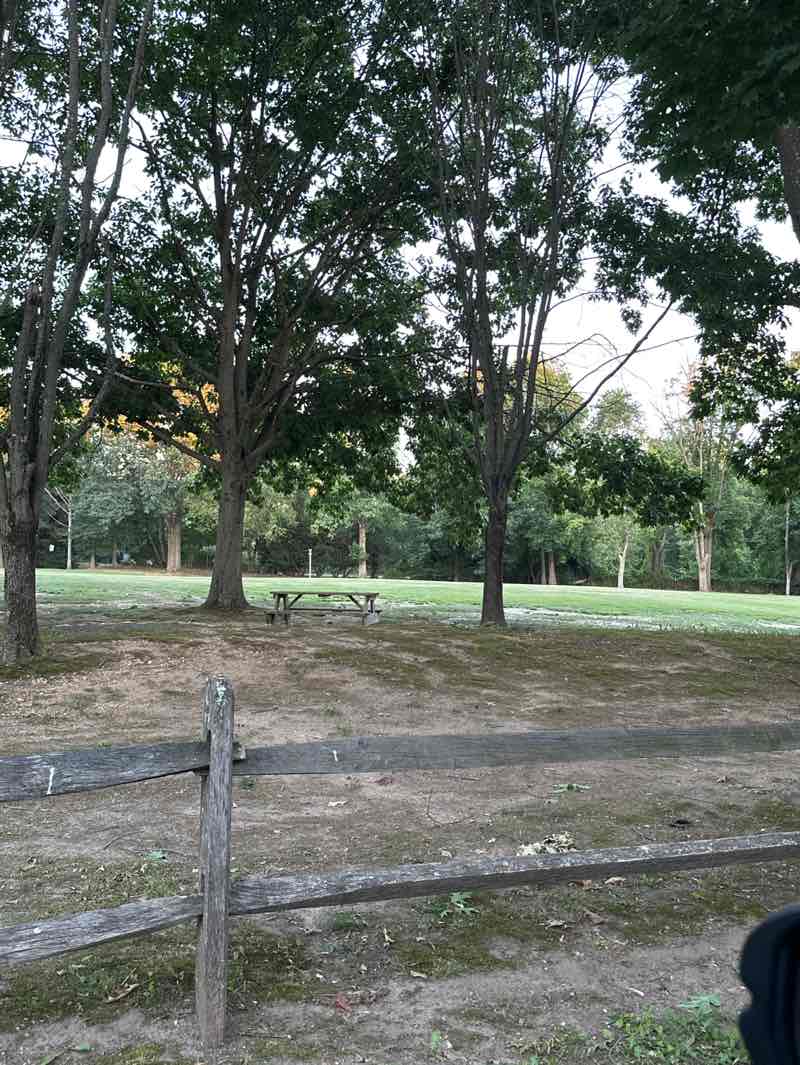 walking near me in Van Nest Park in summer