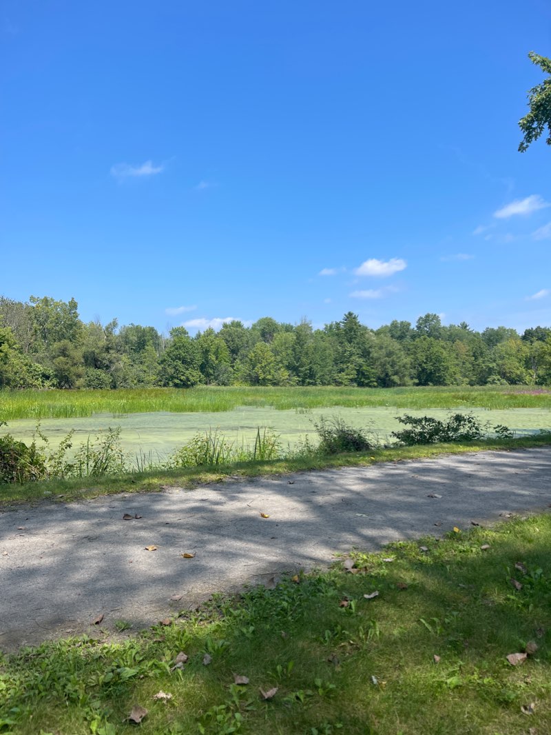 walking near me in Halfmoon-Crescent Park in winter