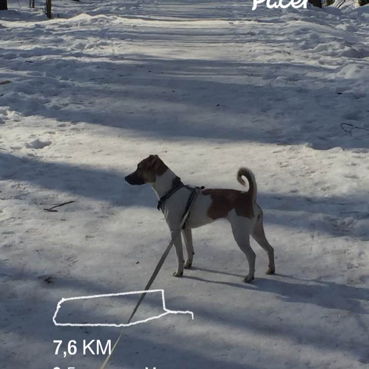 Александр post 1