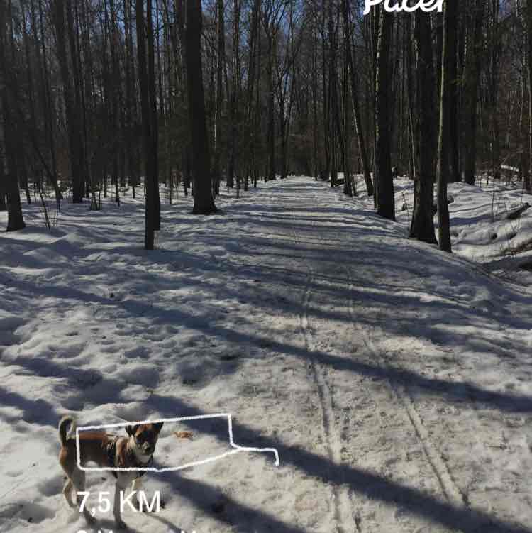 Александр post 1