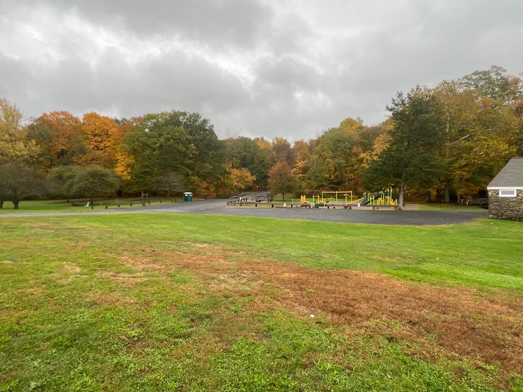 walking near me in A.W. Stanley Park in autumn