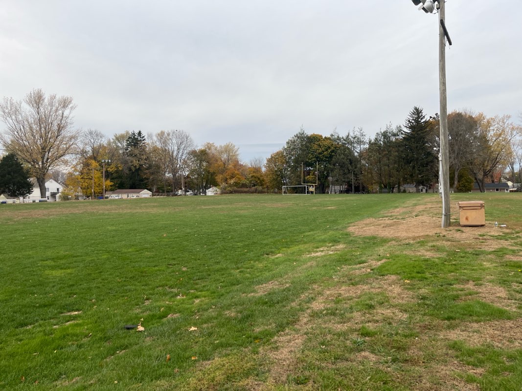 walking near me in Agogliati Field in autumn