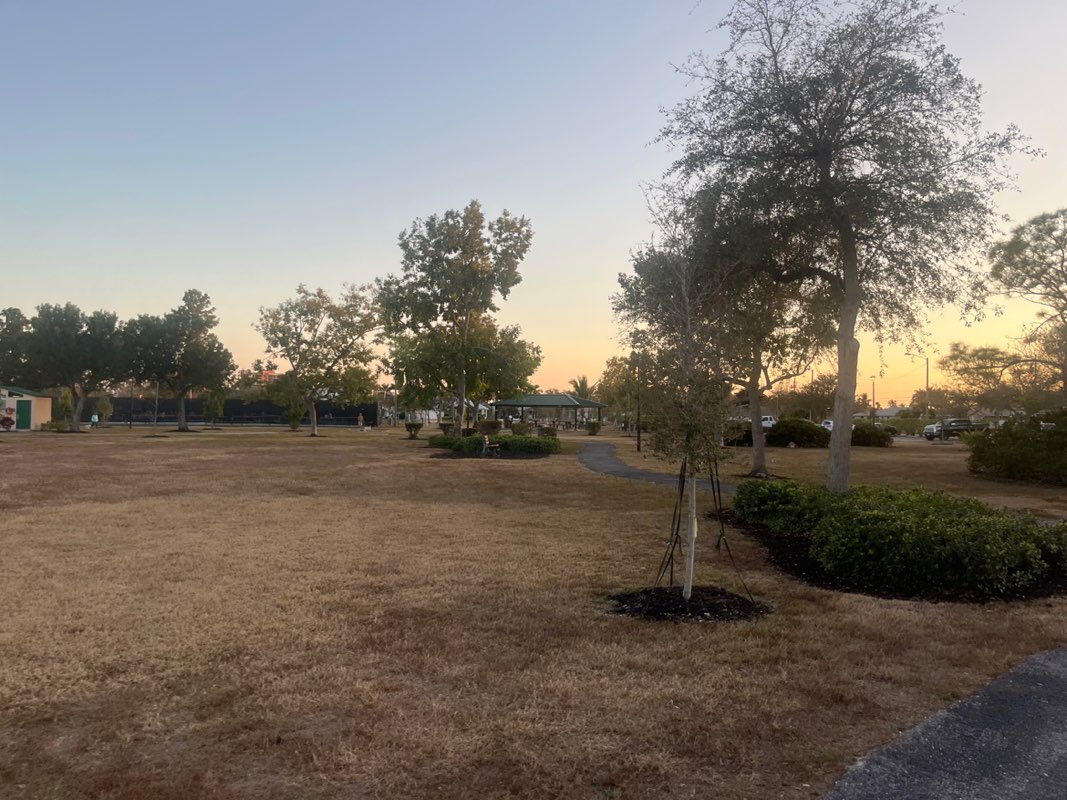 walking near me in Camelot Park in winter