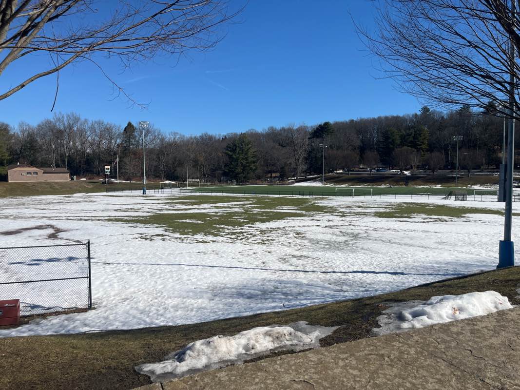 walking near me in Treadwell Memorial Park in spring
