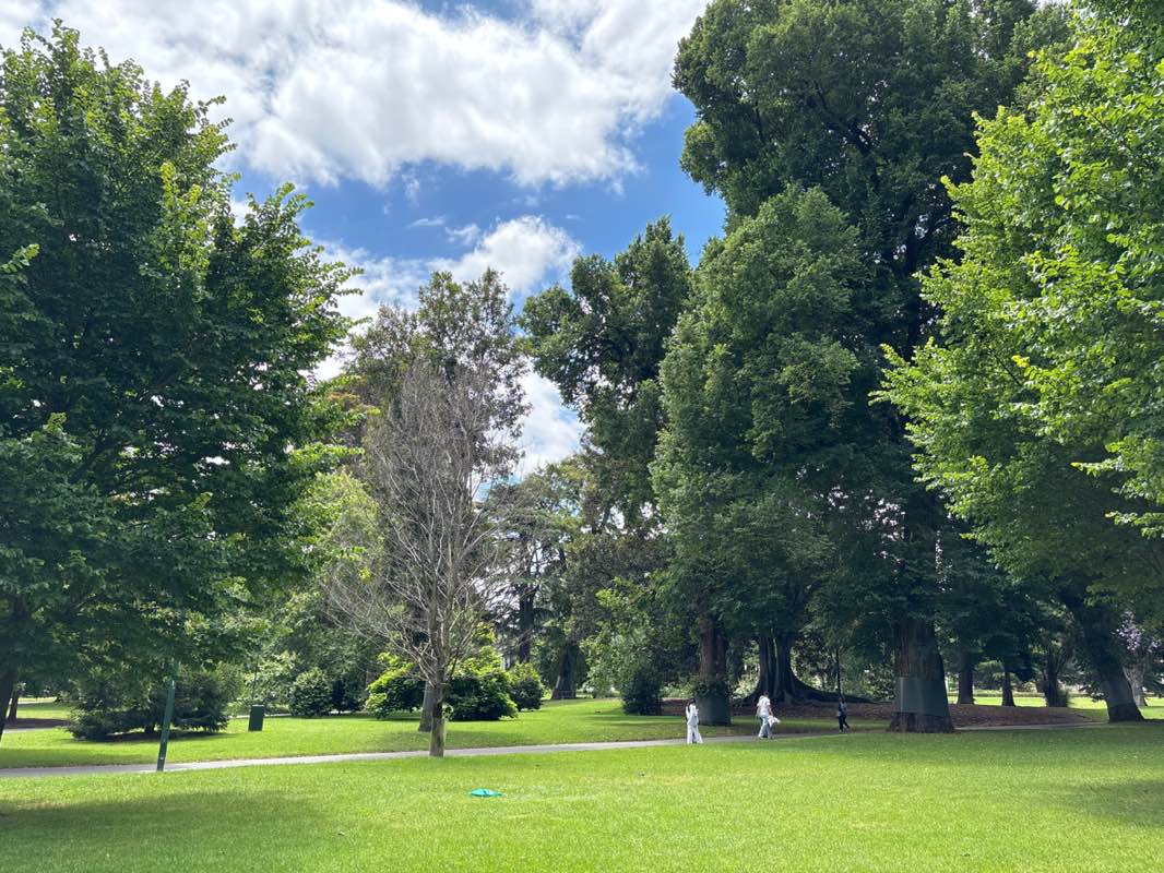 walking near me in Carlton Gardens in summer