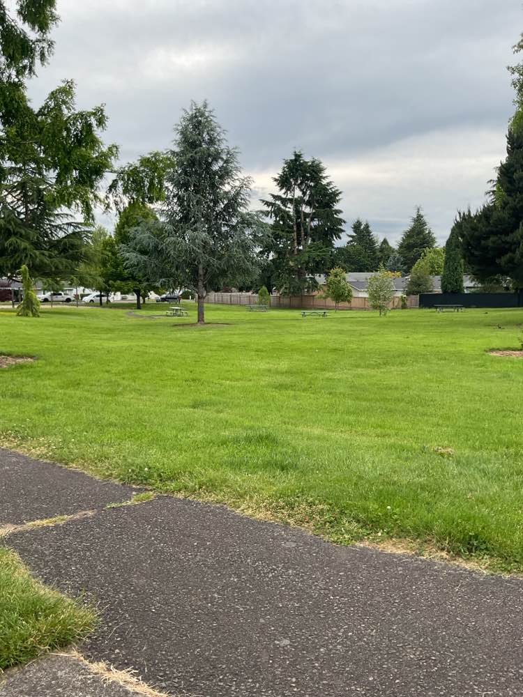 walking near me in Courtside Neighborhood Park in spring