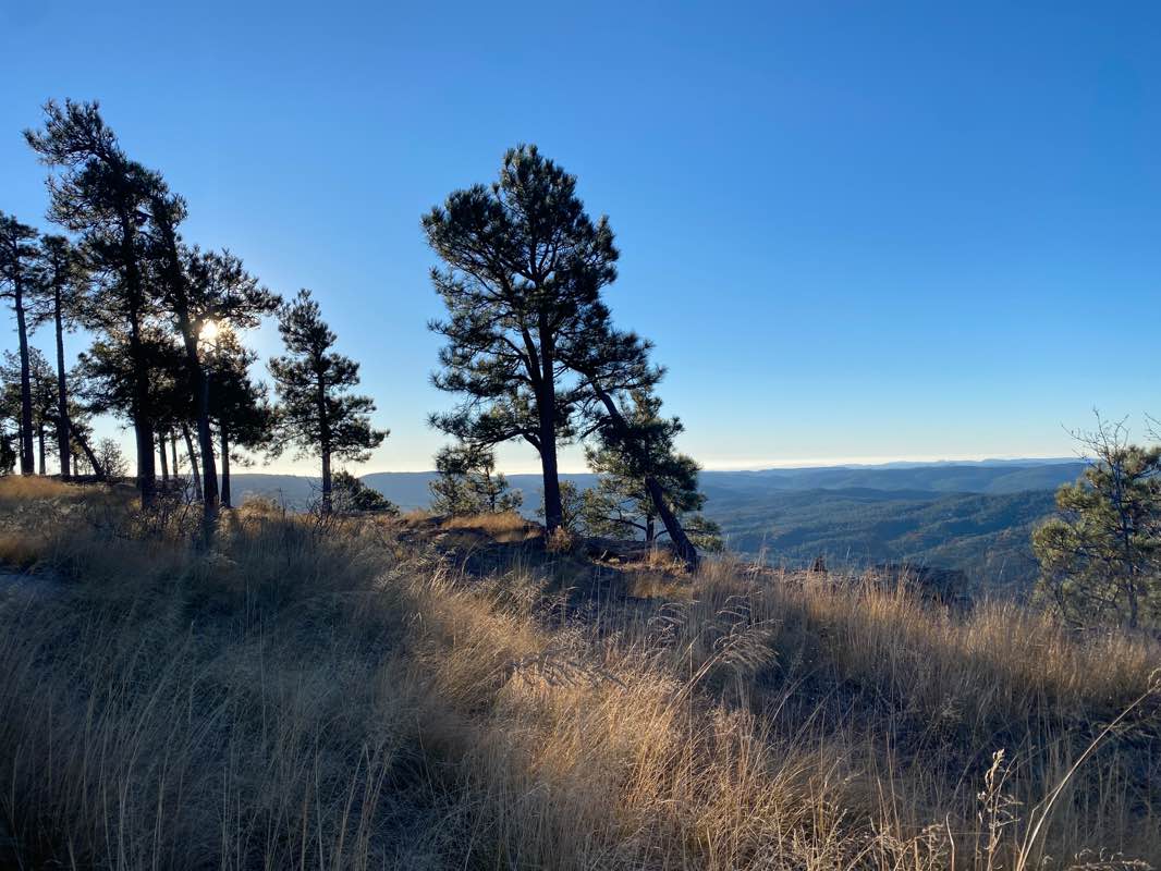 walking near me in Woods Canyon Lake Recreation Area in winter