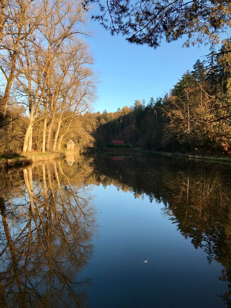 walking near me in Jiráskovy sady in winter