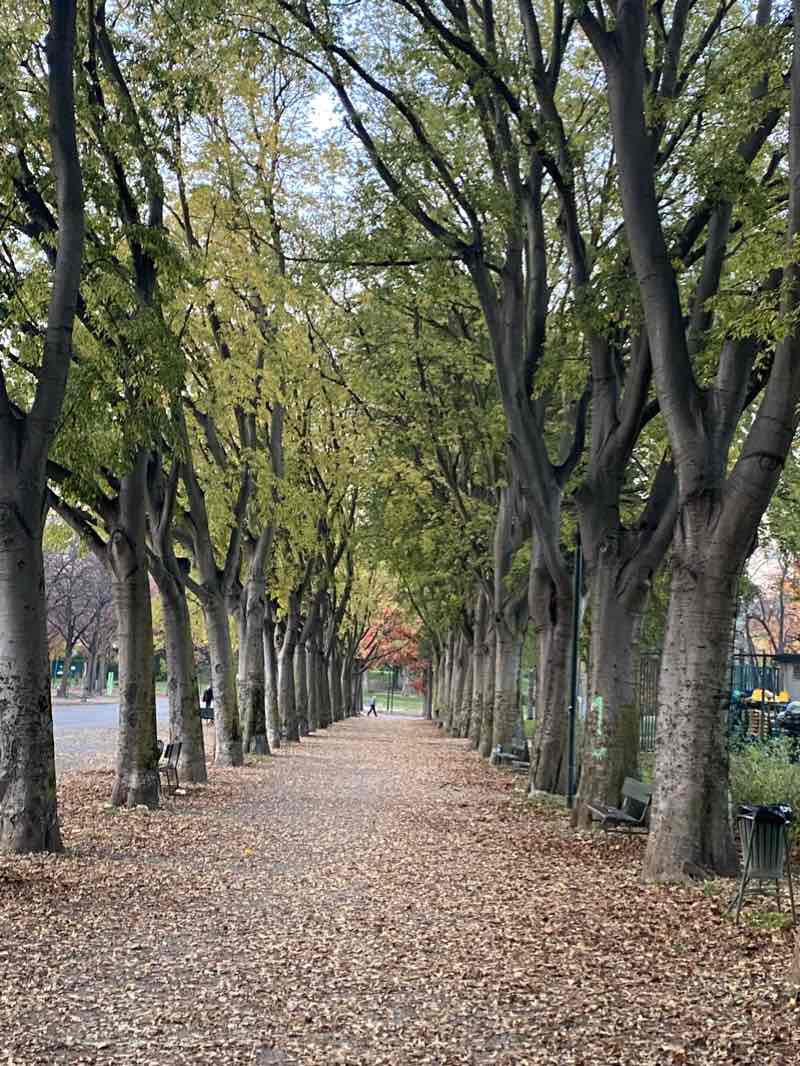 walking near me in Parco Francesco Ruffini in winter
