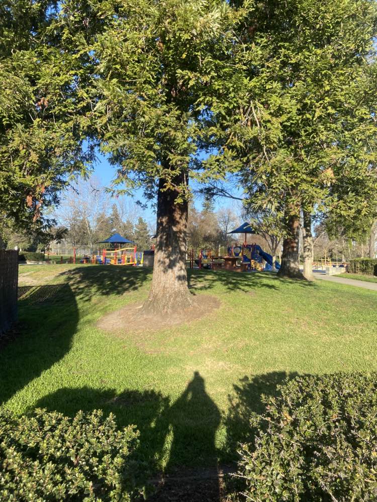 walking near me in Coyote Crossing in winter